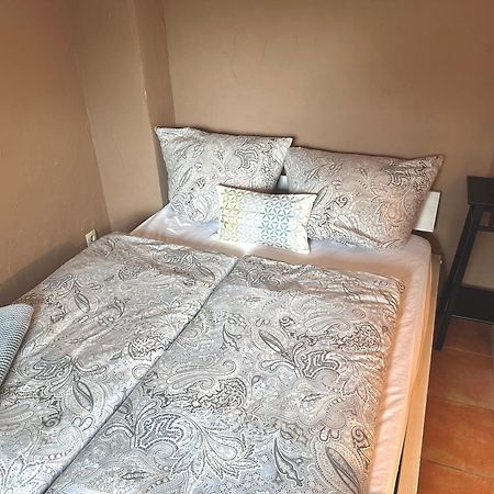 Apartement Am Schloss Pillnitz 德累斯顿 外观 照片