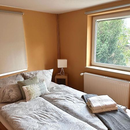 Apartement Am Schloss Pillnitz 德累斯顿 外观 照片
