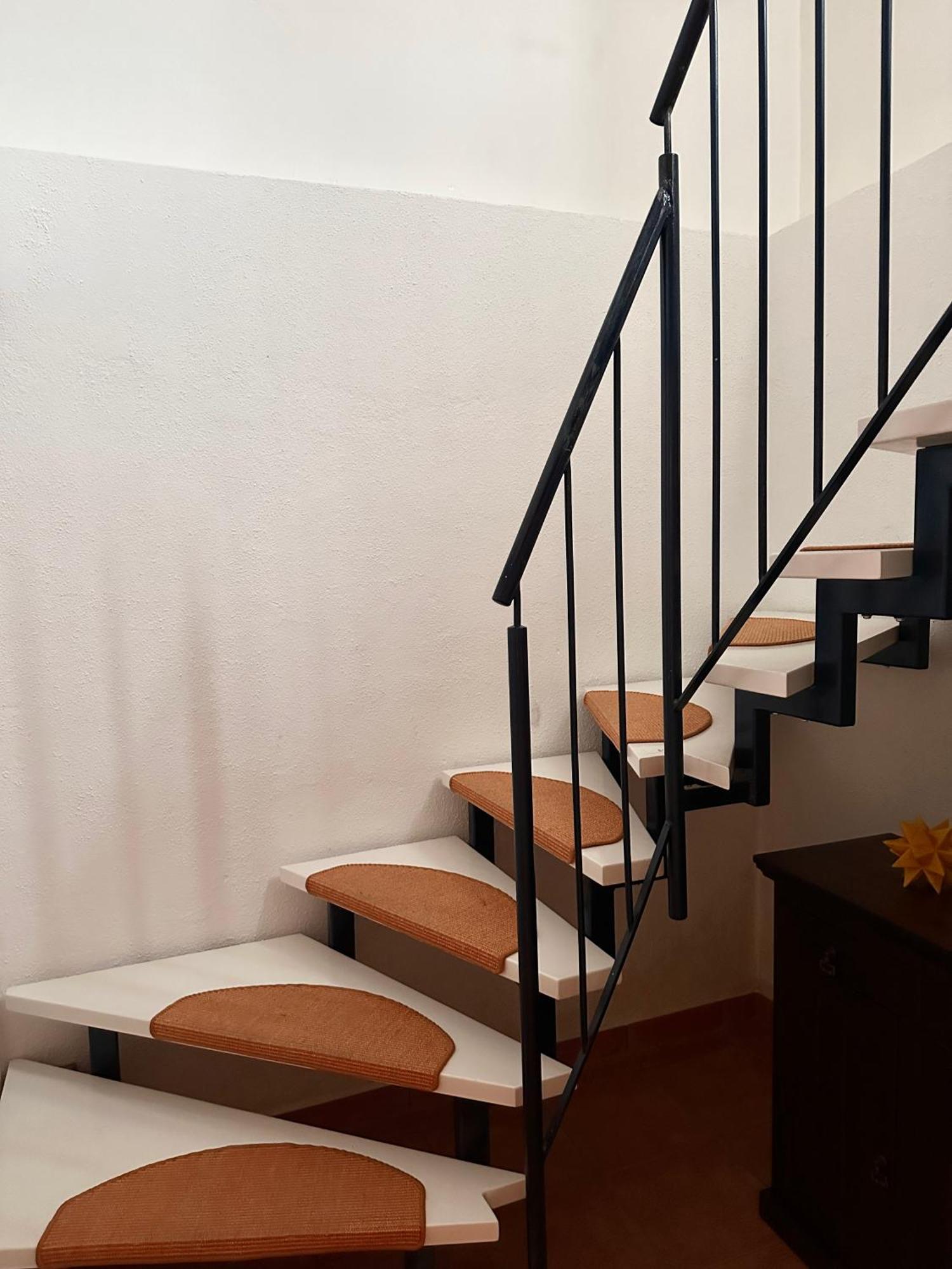 Apartement Am Schloss Pillnitz 德累斯顿 外观 照片
