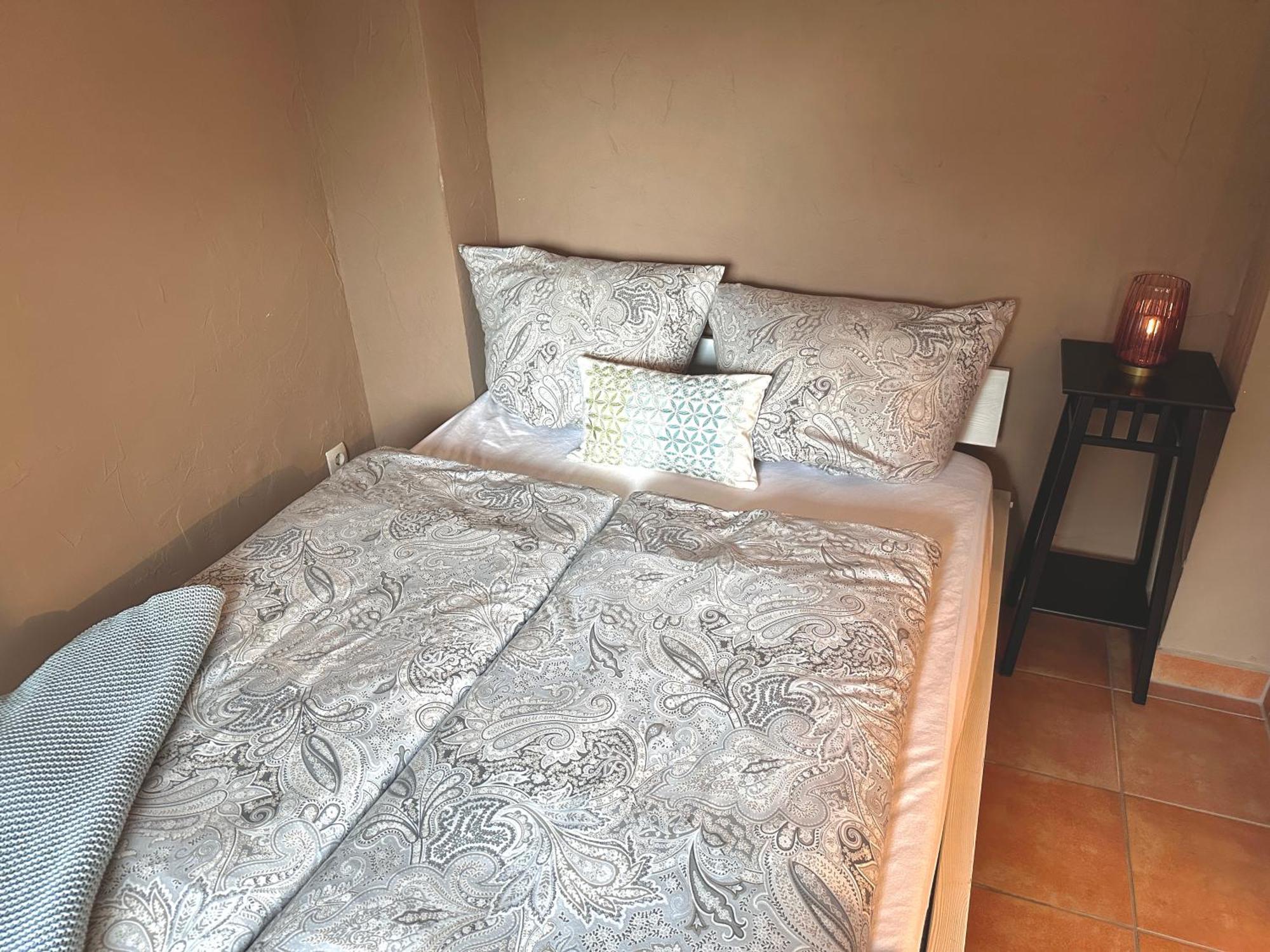Apartement Am Schloss Pillnitz 德累斯顿 外观 照片